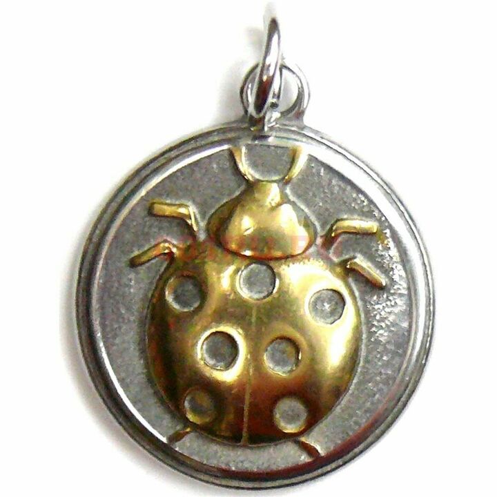 amulet ladybug - prinaša finančno srečo