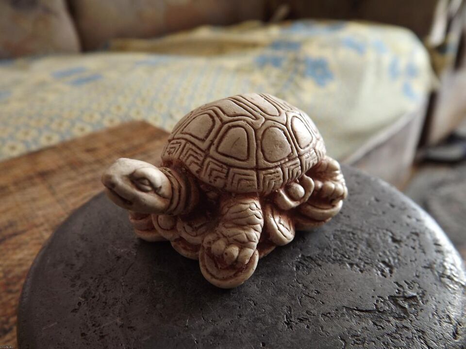 figurica želve kot amulet sreče